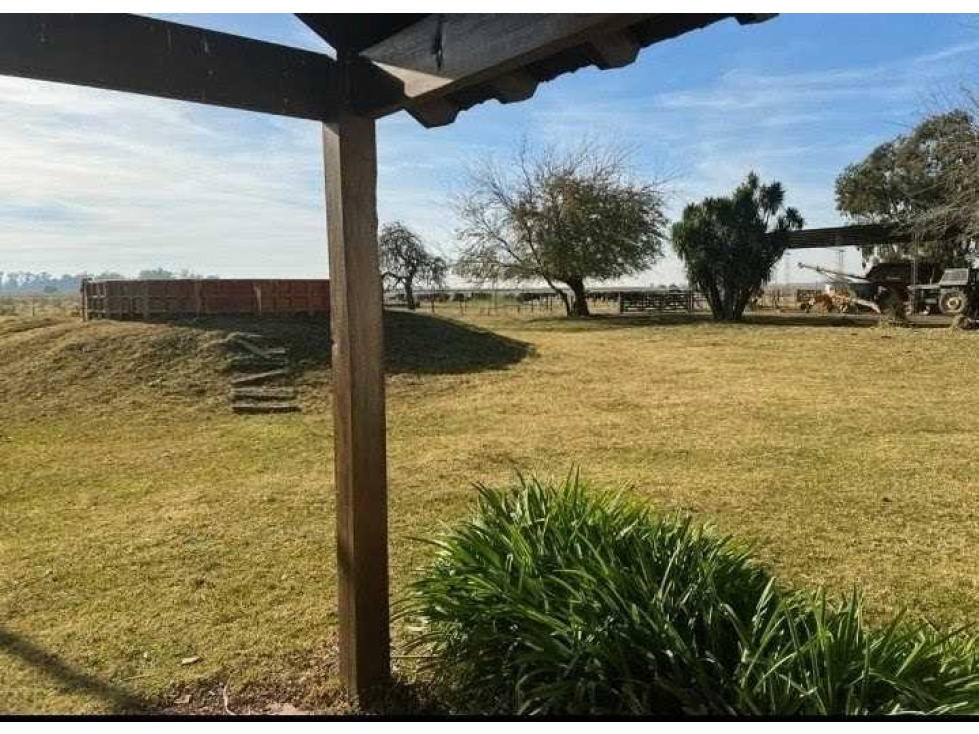 CAMPO 377 HAS, AGRICOLA, SAN MIGUEL DEL MONTE, BUENOS AIRES, ARGENTINA - 2