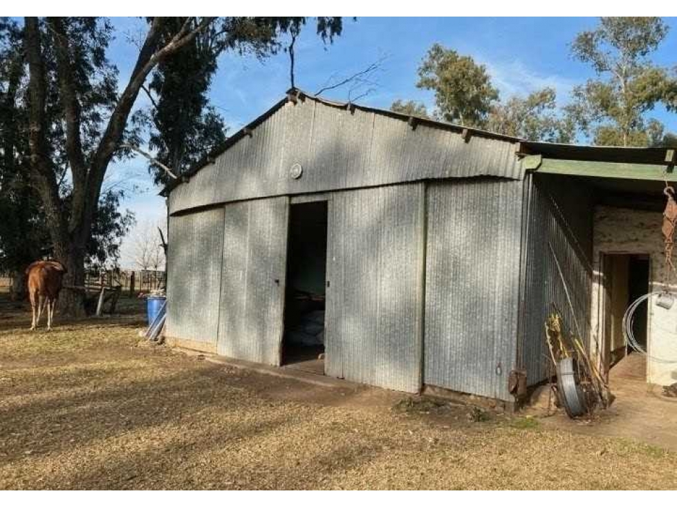 CAMPO 377 HAS, AGRICOLA, SAN MIGUEL DEL MONTE, BUENOS AIRES, ARGENTINA - 4