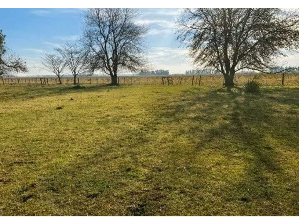 CAMPO 377 HAS, AGRICOLA, SAN MIGUEL DEL MONTE, BUENOS AIRES, ARGENTINA - 5