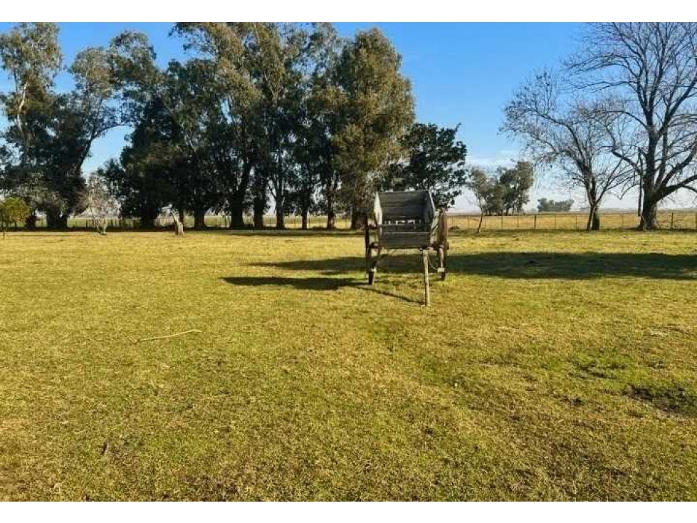 CAMPO 377 HAS, AGRICOLA, SAN MIGUEL DEL MONTE, BUENOS AIRES, ARGENTINA - 6