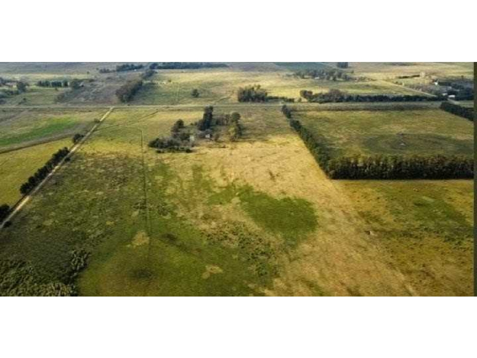 CAMPO 37 HAS, MIXTO, SAN MIGUEL DEL MONTE, BUENOS AIRES, ARGENTINA - 1