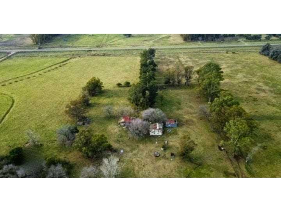 CAMPO 37 HAS, MIXTO, SAN MIGUEL DEL MONTE, BUENOS AIRES, ARGENTINA - 2