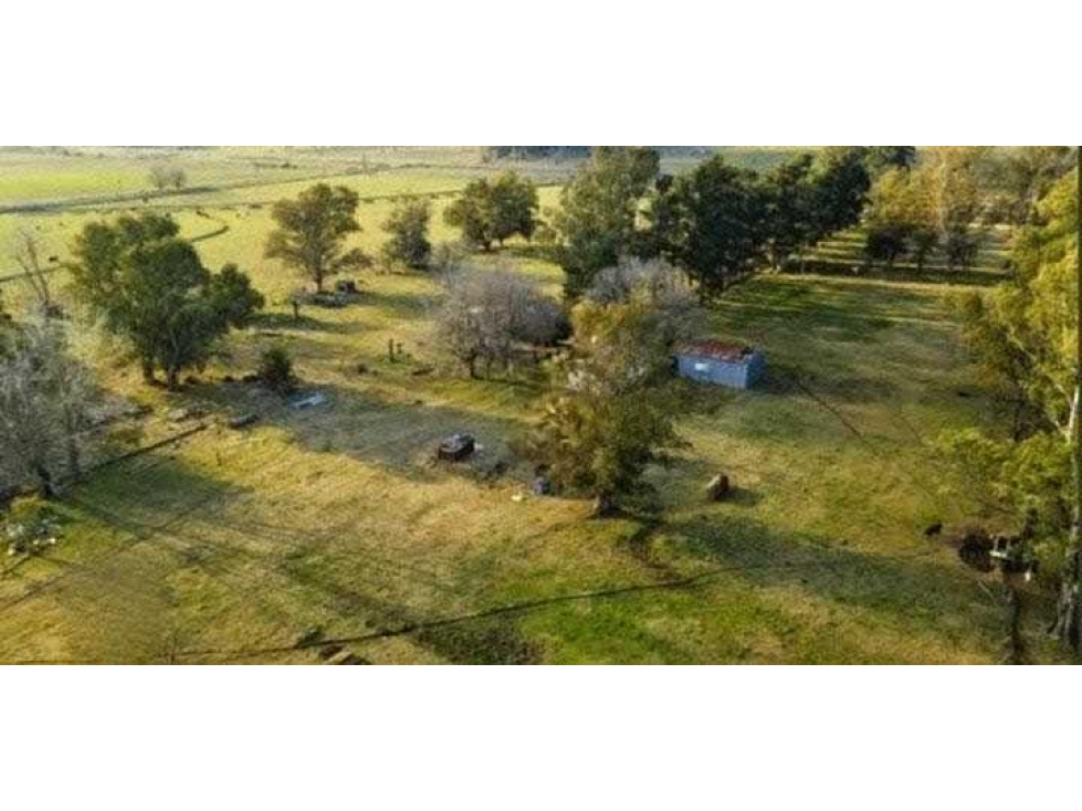 CAMPO 37 HAS, MIXTO, SAN MIGUEL DEL MONTE, BUENOS AIRES, ARGENTINA - 4