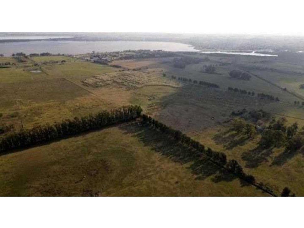 CAMPO 37 HAS, MIXTO, SAN MIGUEL DEL MONTE, BUENOS AIRES, ARGENTINA - 6