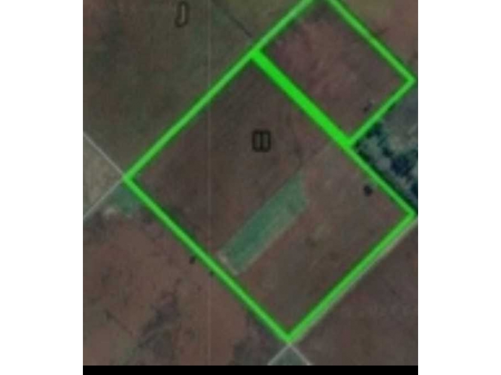 CAMPO 37 HECTAREAS, MIXTO, HINOJO, OLAVARRIA, BUENOS AIRES, ARGENTINA - 2