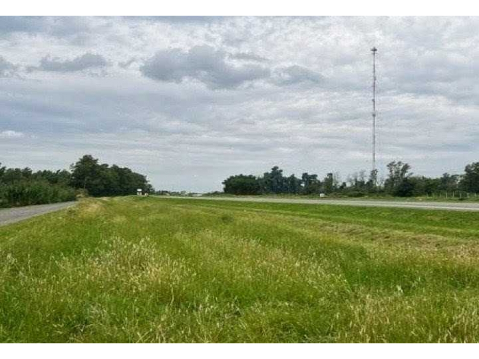 CAMPO 37 HECTAREAS, AGRICOLA, ZARATE, BUENOS AIRES, ARGENTINA - 3