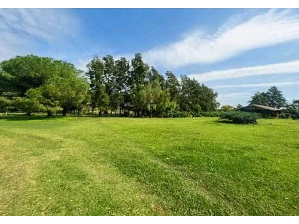 CAMPO 37 HECTAREAS, AGRICOLA, ZARATE, BUENOS AIRES, ARGENTINA - 4