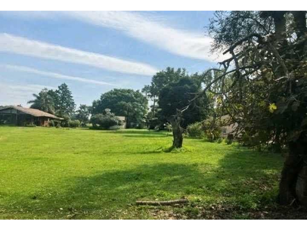 CAMPO 37 HECTAREAS, AGRICOLA, ZARATE, BUENOS AIRES, ARGENTINA - 5