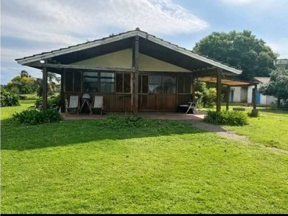 CAMPO 37 HECTAREAS, AGRICOLA, ZARATE, BUENOS AIRES, ARGENTINA - 6
