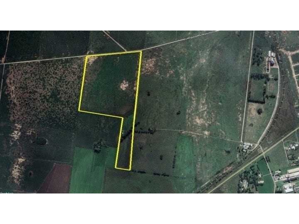 CAMPO 38 HAS, AGRICOLA, PERGAMINO, BURNOS AIRES, ARGENTINA - 2