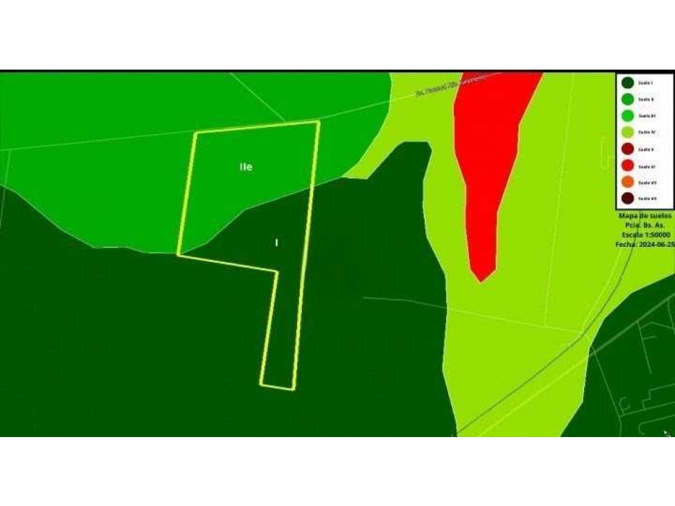 CAMPO 38 HAS, AGRICOLA, PERGAMINO, BURNOS AIRES, ARGENTINA - 3