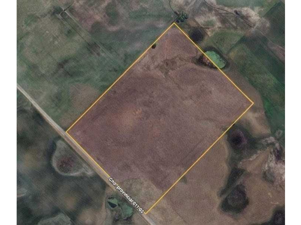 CAMPO 38 HECTAREAS, AGRICOLA, BOLIVAR, BUENOS AIRES, ARGENTINA - 6