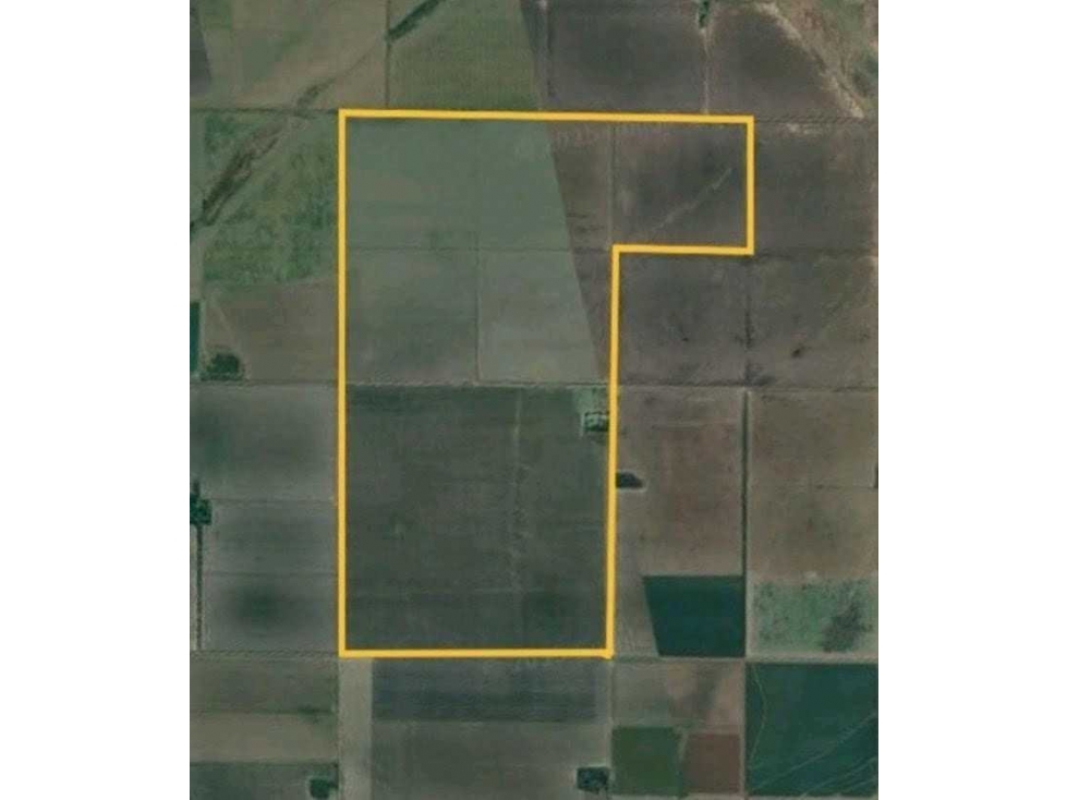 CAMPO 390 HECTAREAS AGRICOLAS, MARCOS JUAREZ, CORDOBA,ARGENTINA - 2