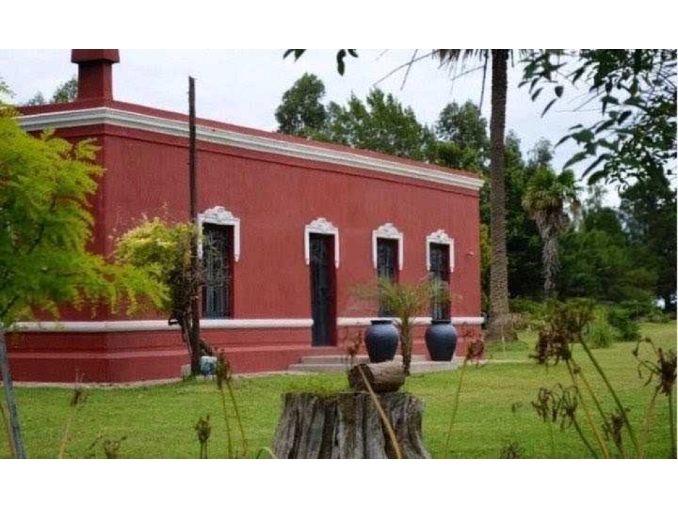 CAMPO 390 HECTAREAS AGRICOLAS, LOBERIA, BUENOS AIRES, ARGENTINA - 1