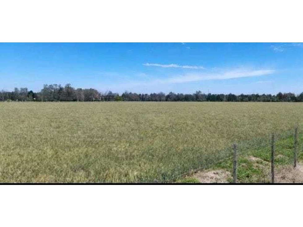CAMPO 393 HECTAREAS, MARCOS JUAREZ, CORDOBA, ARGENTINA - 5