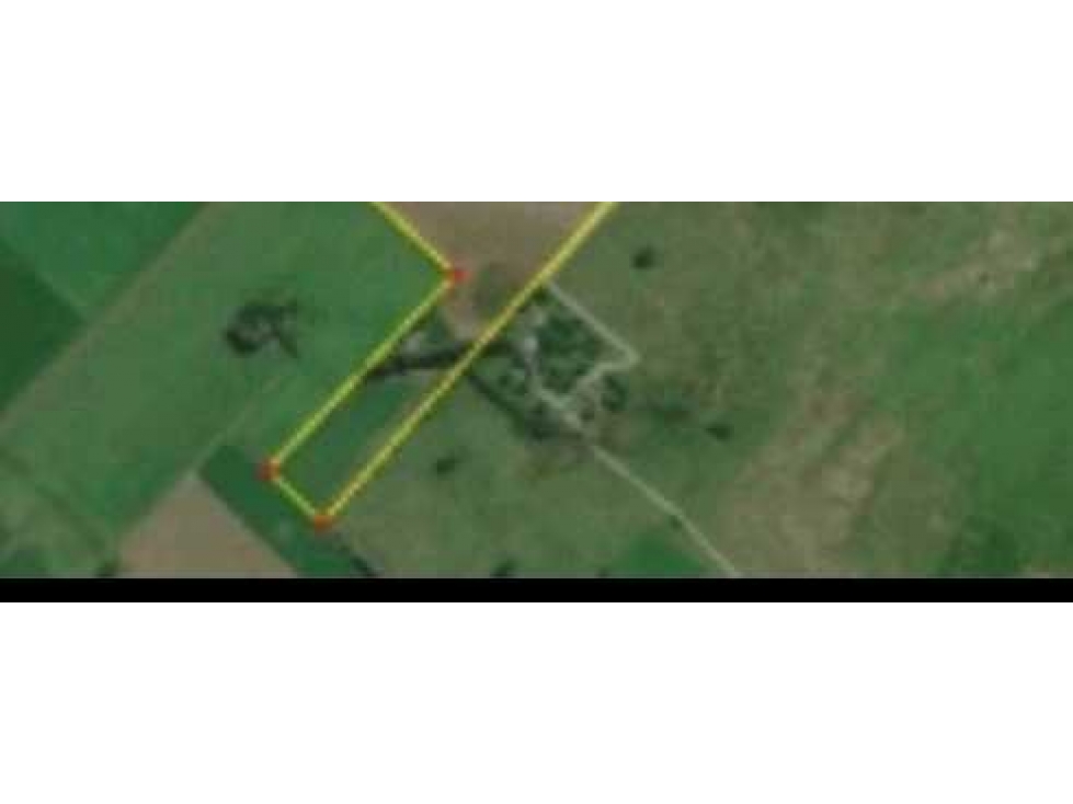 CAMPO 39 HECTAREAS, AGRICOLA, PERGAMINO, BUENOS AIRES, ARGENTINA - 3