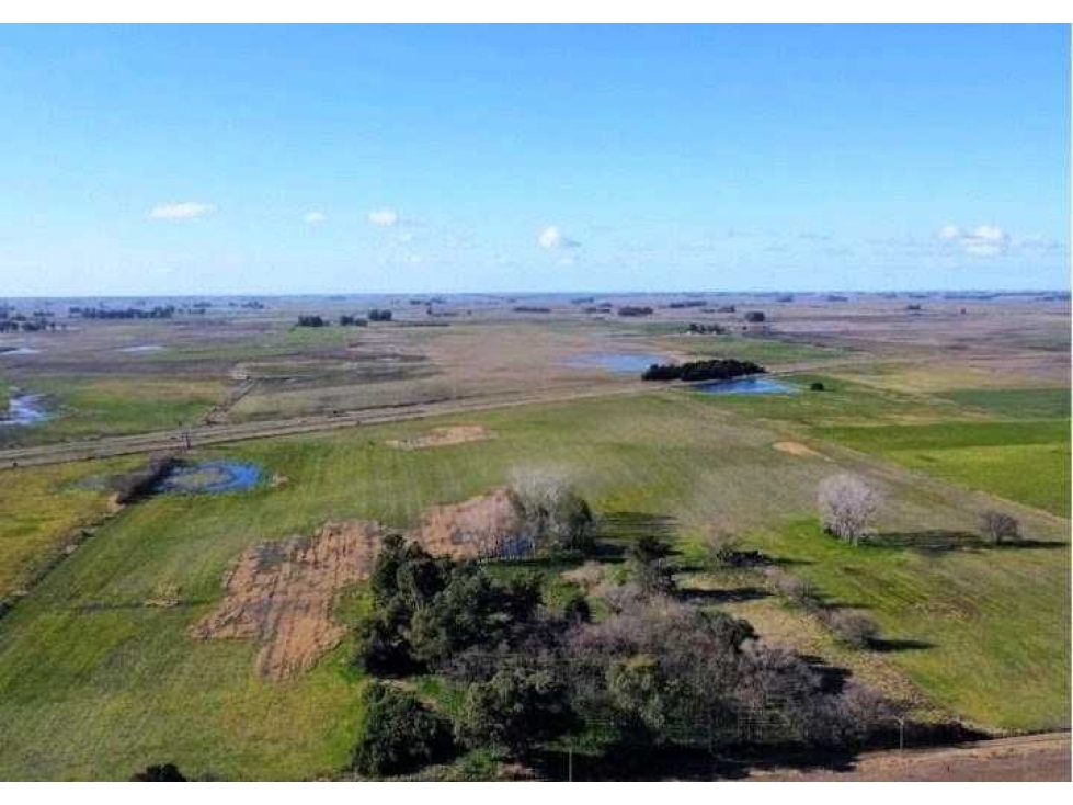 CAMPO 39 HECTAREAS, MIXTO, SALADILLO, BUENOS AIRES, ARGENTINA - 1