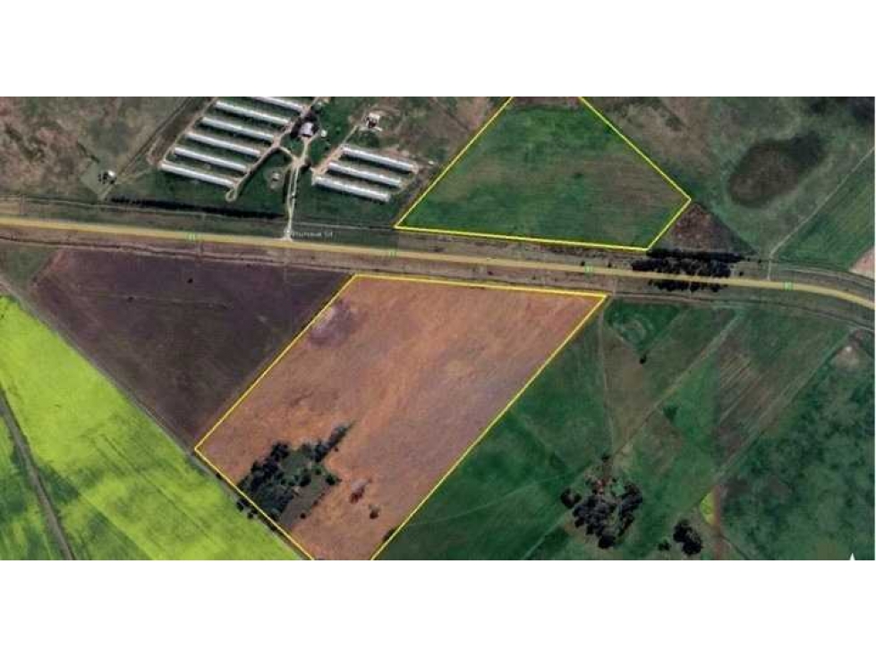 CAMPO 39 HECTAREAS, MIXTO, SALADILLO, BUENOS AIRES, ARGENTINA - 5