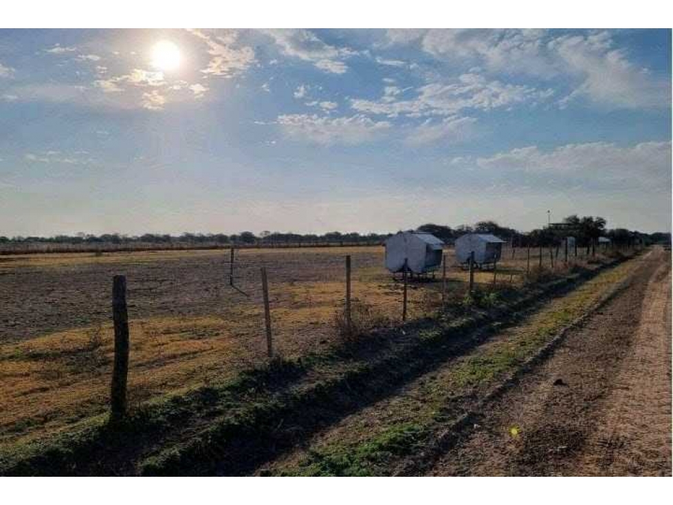 CAMPO 400 HAS, AGRICOLA, GREGORIO PEREZ DE DENIS, SANTA FE, ARGENTINA - 2