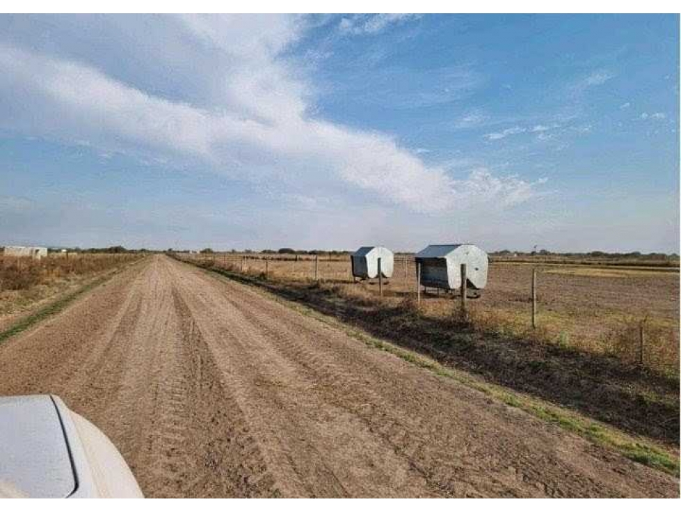 CAMPO 400 HAS, AGRICOLA, GREGORIO PEREZ DE DENIS, SANTA FE, ARGENTINA - 3