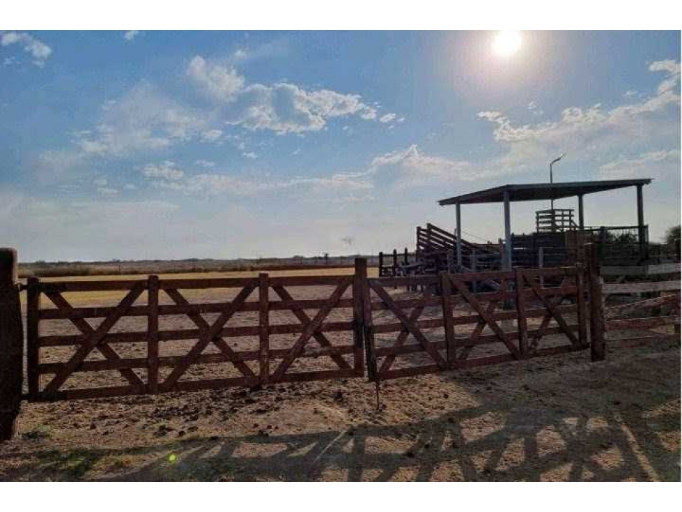 CAMPO 400 HAS, AGRICOLA, GREGORIO PEREZ DE DENIS, SANTA FE, ARGENTINA - 4