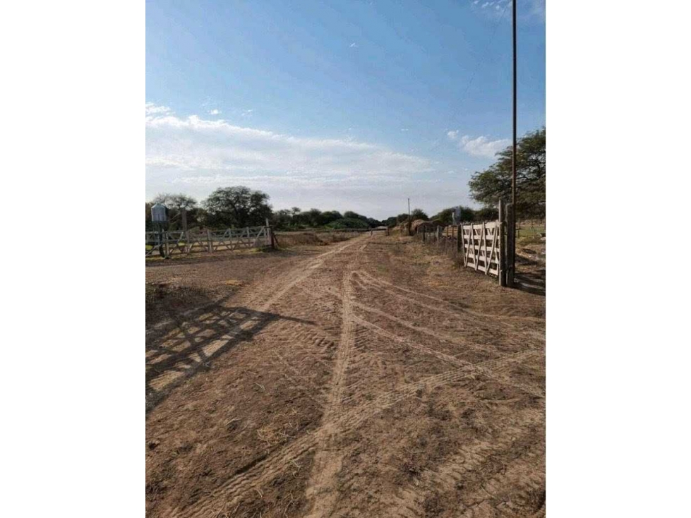 CAMPO 400 HAS, AGRICOLA, GREGORIO PEREZ DE DENIS, SANTA FE, ARGENTINA - 5