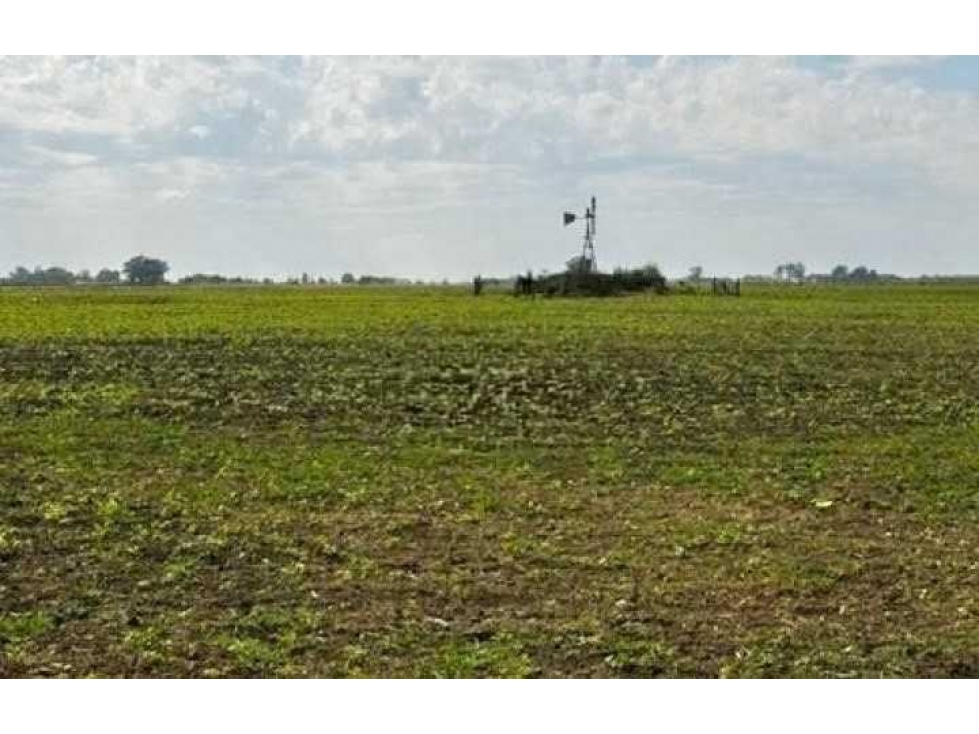 CAMPO 401 HECTAREAS, MIXTO, LEZAMA, BUENOS AIRES, ARGENTINA - 3
