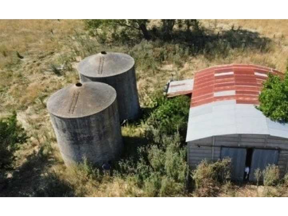 CAMPO 401 HECTAREAS, MIXTO, LEZAMA, BUENOS AIRES, ARGENTINA - 5