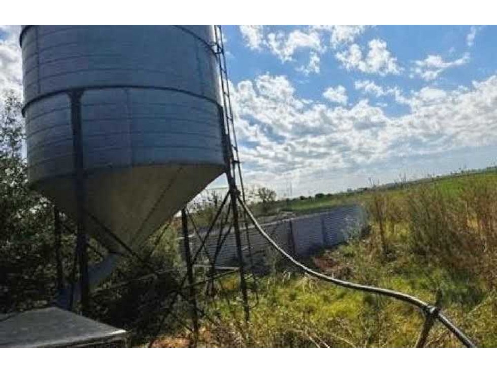 CAMPO 401 HECTAREAS, MIXTO, LEZAMA, BUENOS AIRES, ARGENTINA - 6