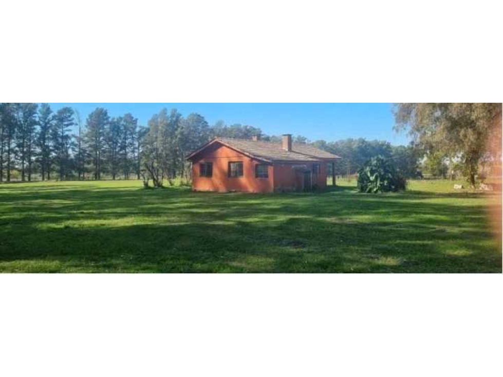 CAMPO 401 HECTAREAS, MIXTO, LUJAN, BUENOS AIRES, ARGENTINA - 4