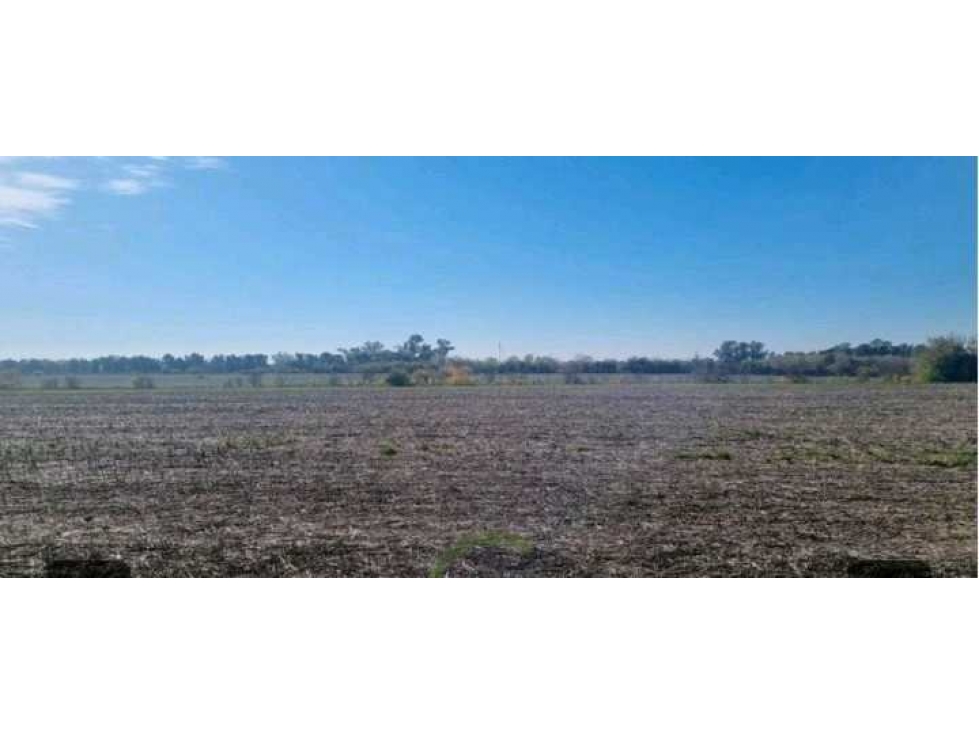 CAMPO 401 HECTAREAS, MIXTO, LUJAN, BUENOS AIRES, ARGENTINA - 5