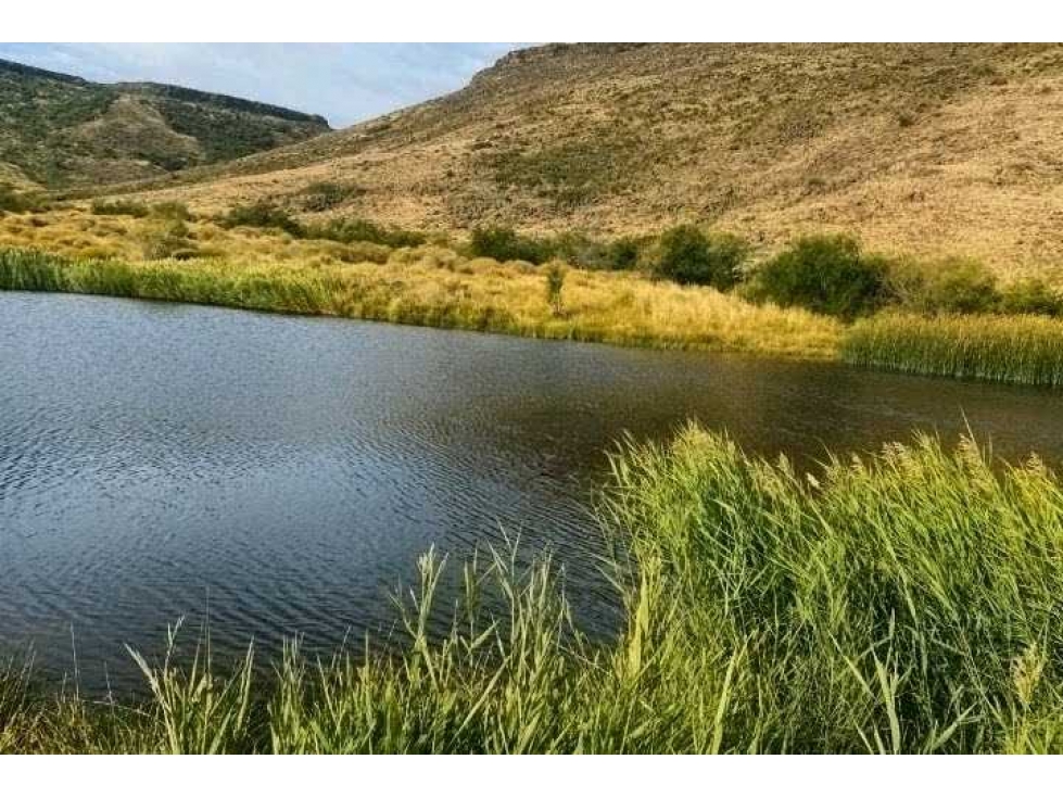 CAMPO 4047 HECTAREAS, GANADERO, NEUQUEN, ARGENTINA - 5