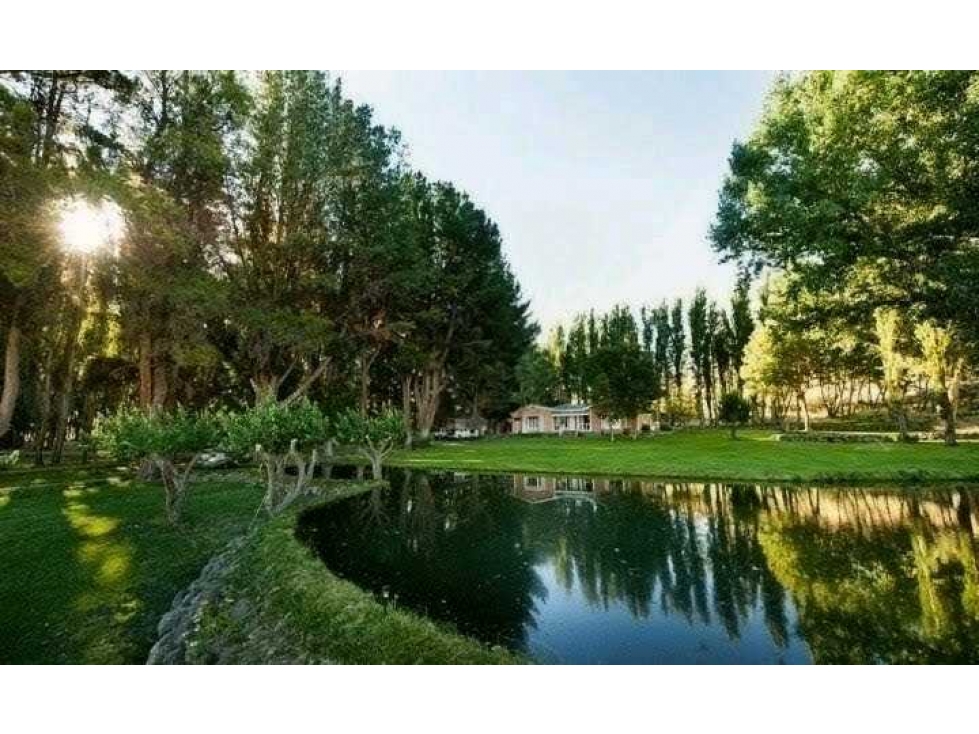 CAMPO 4047 HECTAREAS, GANADERO, NEUQUEN, ARGENTINA - 6