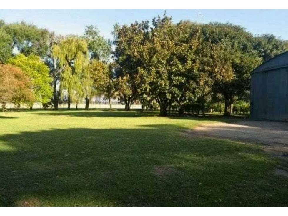 CAMPO 408 HECTARES AGRICOLA, MIRAMAR, BUENOS AIRES, ARGENTINA - 3