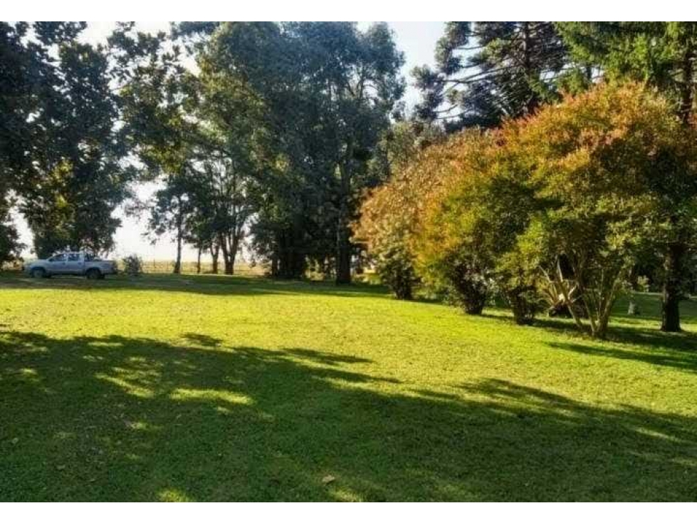 CAMPO 408 HECTARES AGRICOLA, MIRAMAR, BUENOS AIRES, ARGENTINA - 4