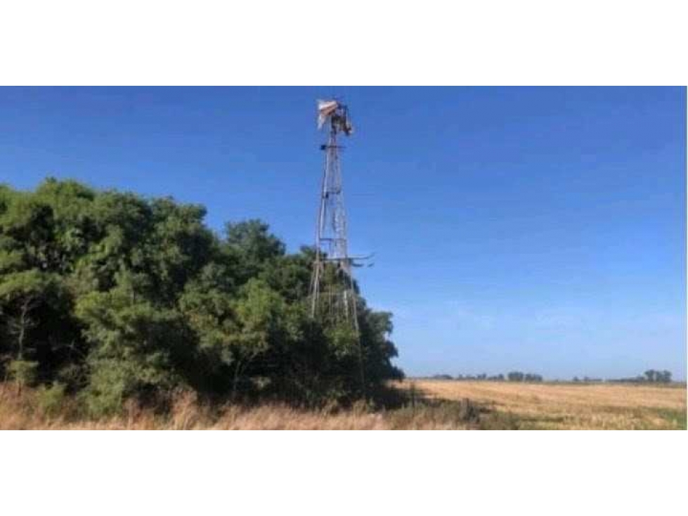 CAMPO 40 HECTAREAS, AGRICOLA, SALADILLO, BUENOS AIRES, ARGENTINA - 6