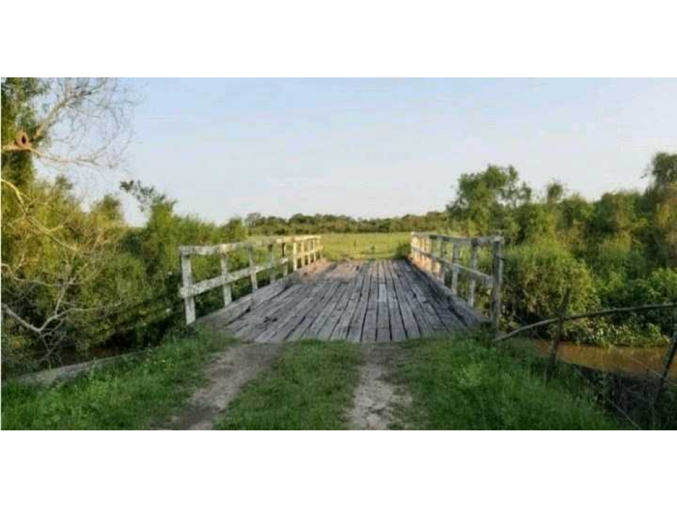 CAMPO 4168 HECTAREAS, MIXTO, SAN LUIS DEL PALMAR,CORRIENTES, ARGENTINA - 3