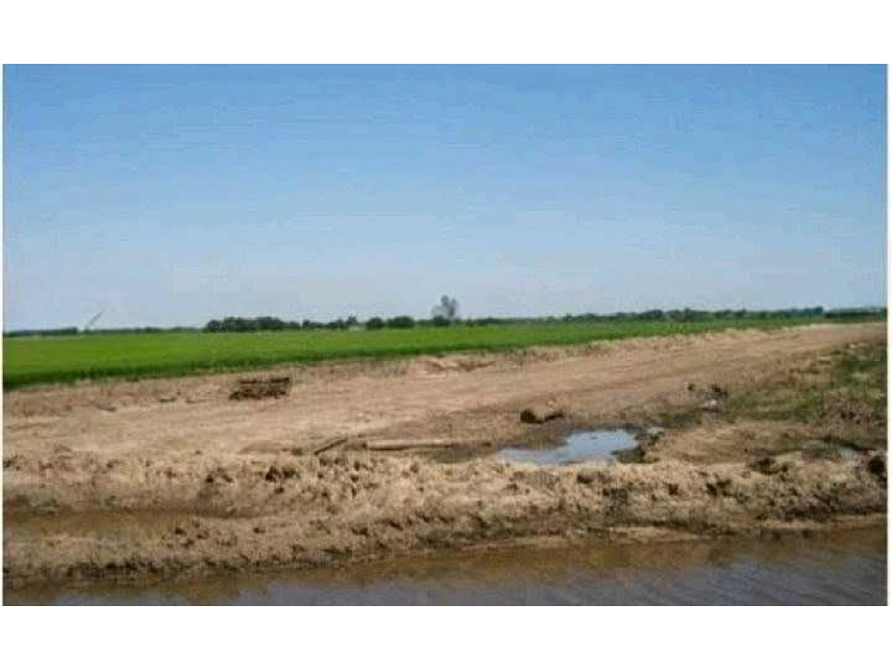 CAMPO 4168 HECTAREAS, MIXTO, SAN LUIS DEL PALMAR,CORRIENTES, ARGENTINA - 4