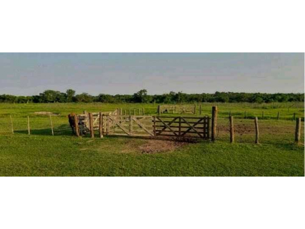 CAMPO 4168 HECTAREAS, MIXTO, SAN LUIS DEL PALMAR,CORRIENTES, ARGENTINA - 5