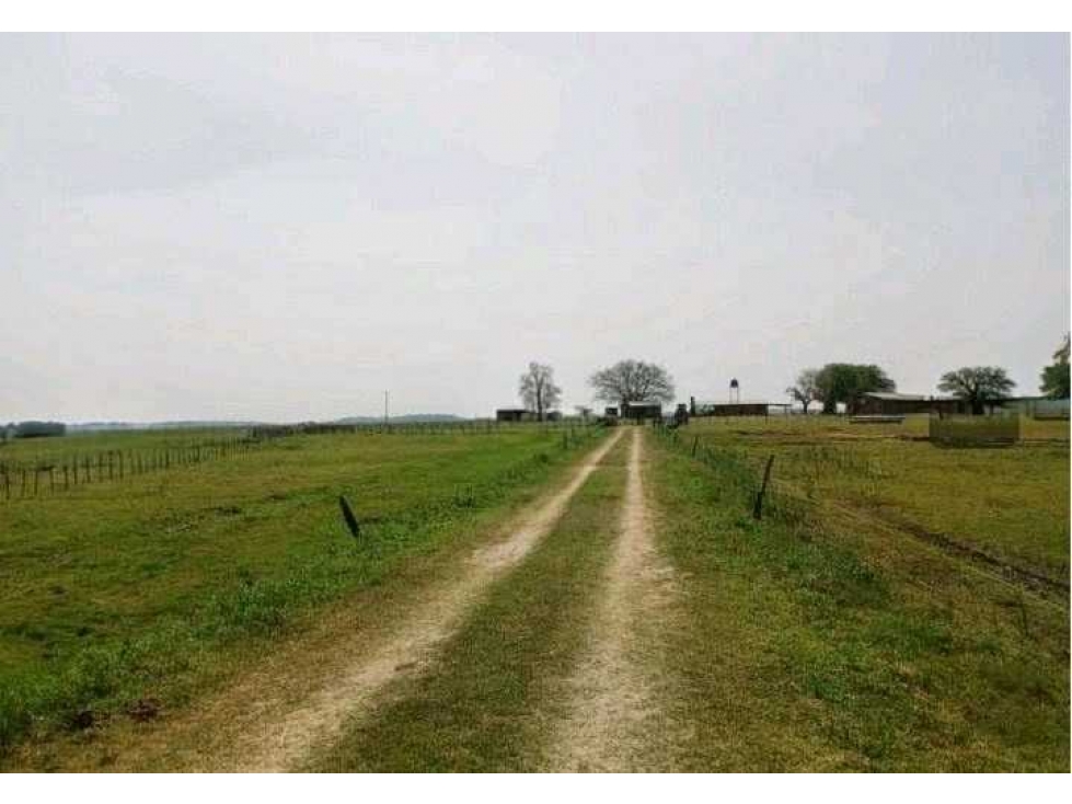 CAMPO 4168 HECTAREAS, MIXTO, SAN LUIS DEL PALMAR,CORRIENTES, ARGENTINA - 6