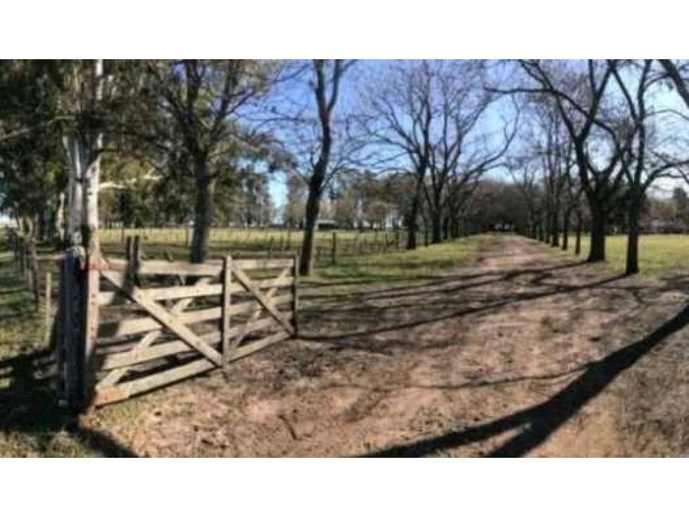 CAMPO 4811HECTAREAS GANADERO, PILA, BUENOS AIRES, ARGENTINA - 2