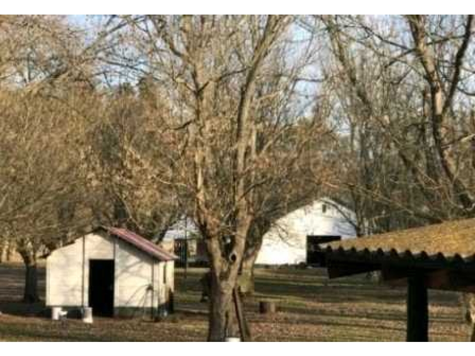CAMPO 4811HECTAREAS GANADERO, PILA, BUENOS AIRES, ARGENTINA - 3