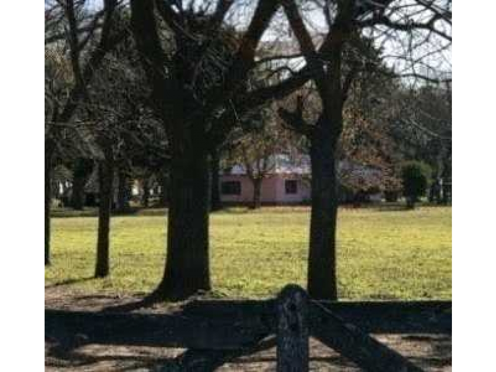 CAMPO 4811HECTAREAS GANADERO, PILA, BUENOS AIRES, ARGENTINA - 4