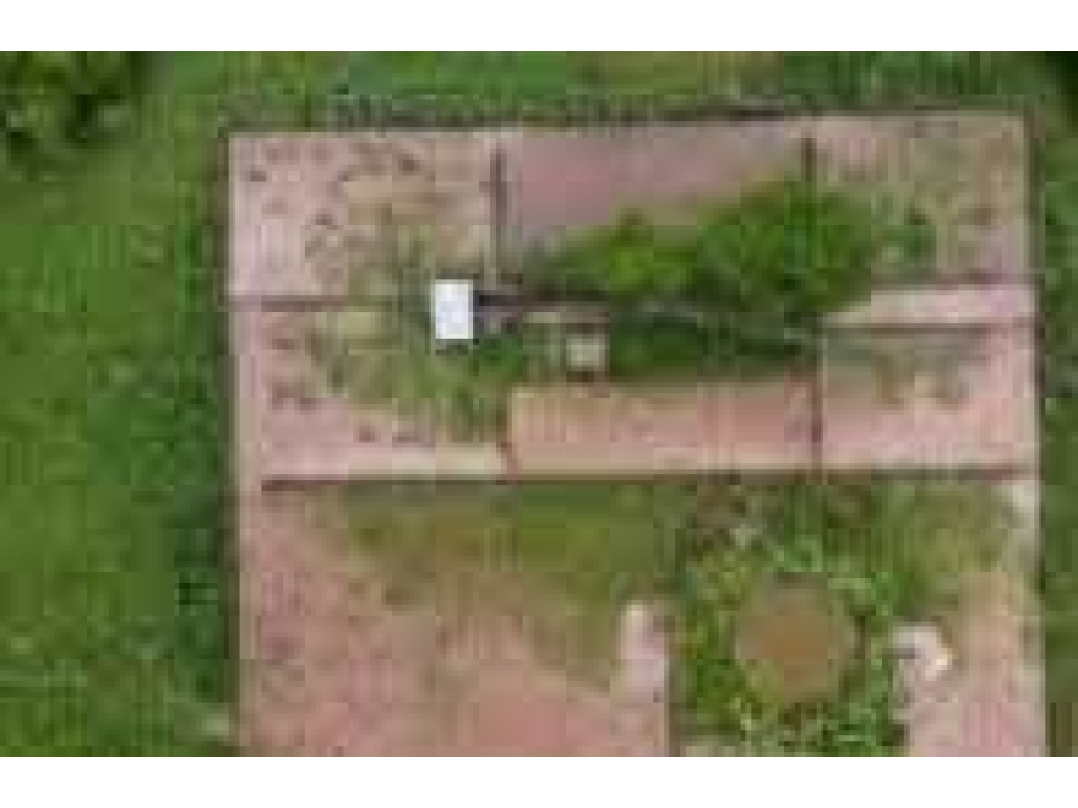 CAMPO 420 HECTAREAS, GANADERO, MAGDALENA, BUENOS AIRES, ARGENTINA - 4