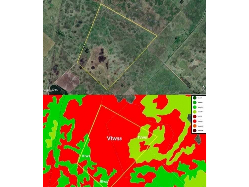 CAMPO 422 HECTAREAS MIXTO, LAS FLORES, BUENOS AIRES, ARGENTINA - 6