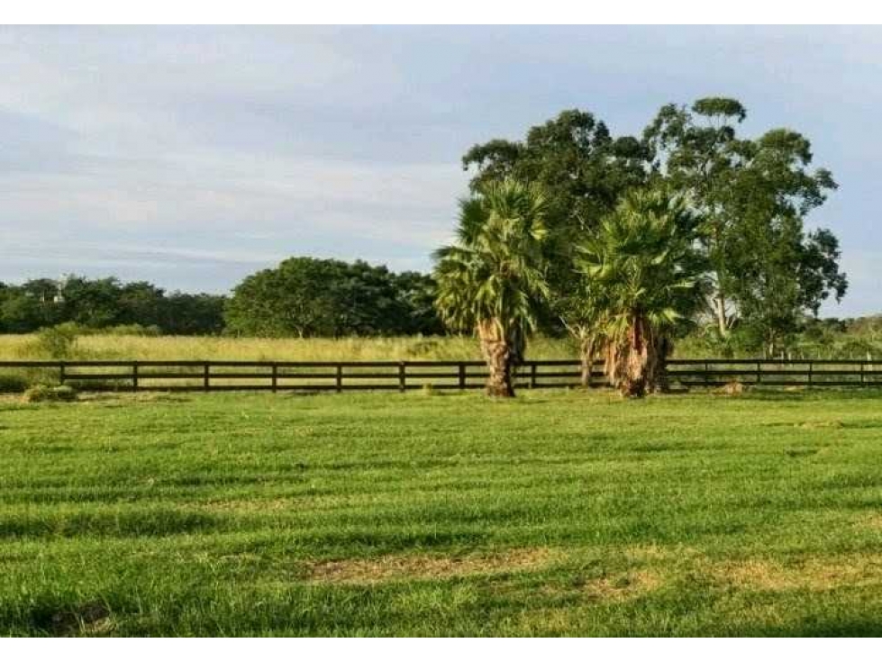 CAMPO 43000 HECTAREAS, MIXTO, FORMOSA, ARGENTINA - 3