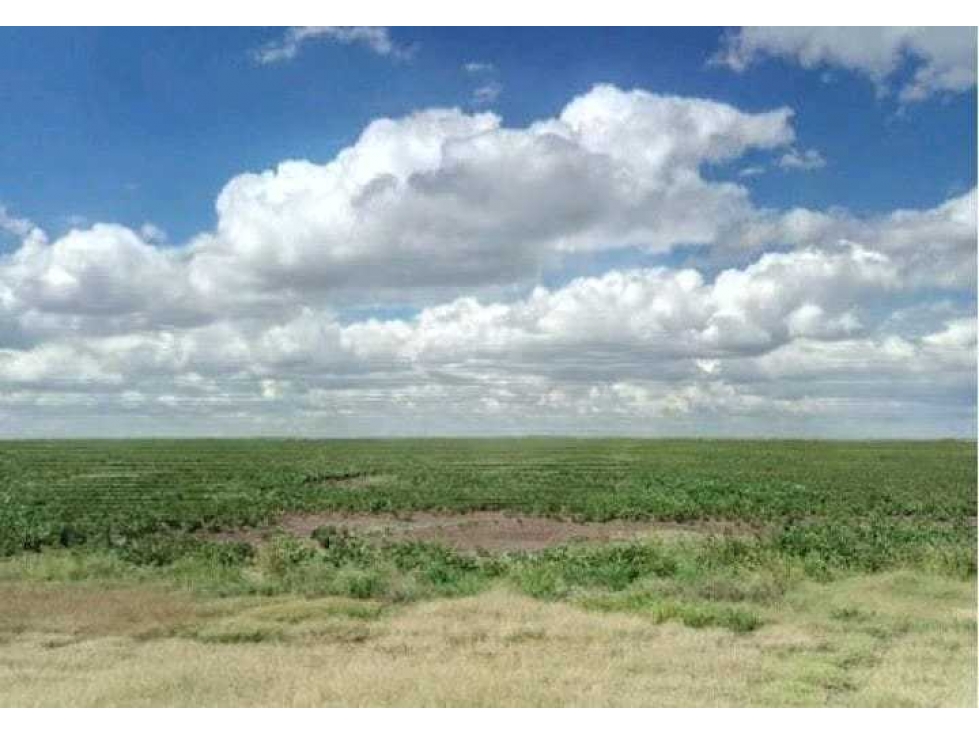 CAMPO 430 HECTAREAS, MIXTO, ESTRUGAMOU, LAS FLORES, BS.AS, ARGENTINA - 1