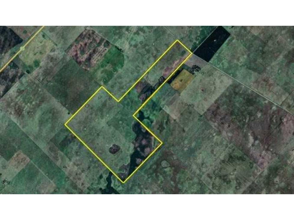 CAMPO 430 HECTAREAS, MIXTO, ESTRUGAMOU, LAS FLORES, BS.AS, ARGENTINA - 2