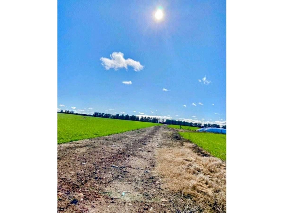 CAMPO 431 HAS, AGRICOLA, DE LA CANAL, TANDIL, BS.AS, ARGENTINA - 1