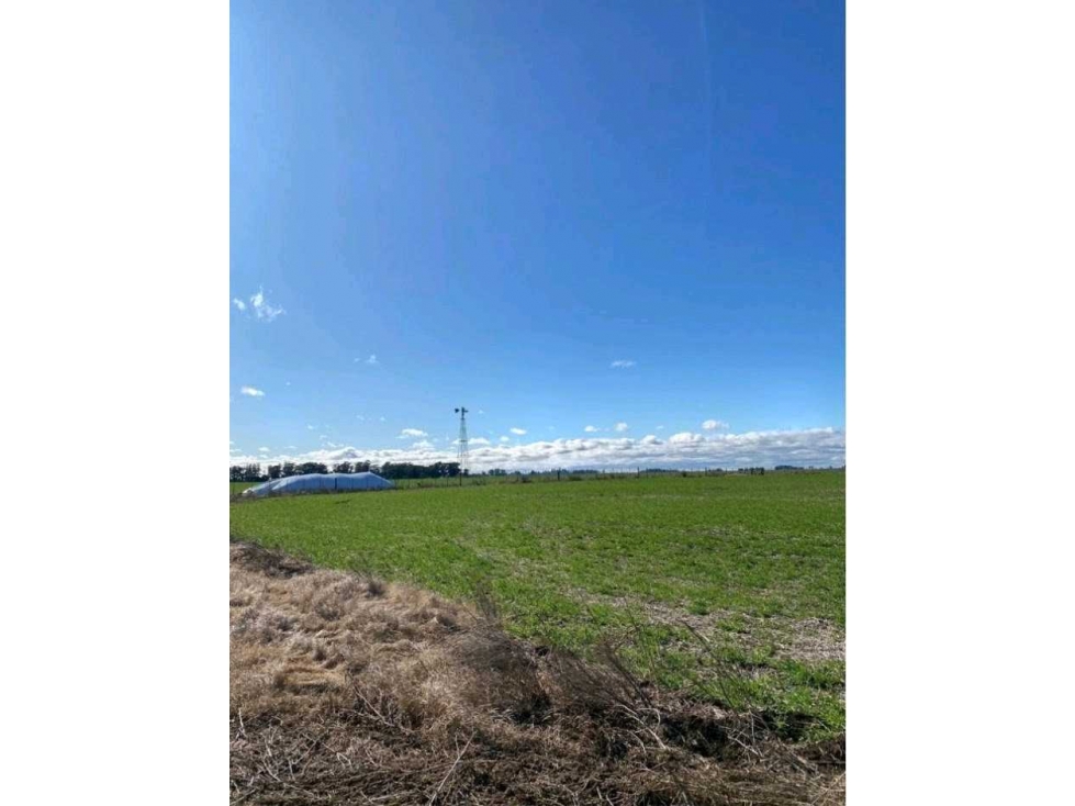 CAMPO 431 HAS, AGRICOLA, DE LA CANAL, TANDIL, BS.AS, ARGENTINA - 2